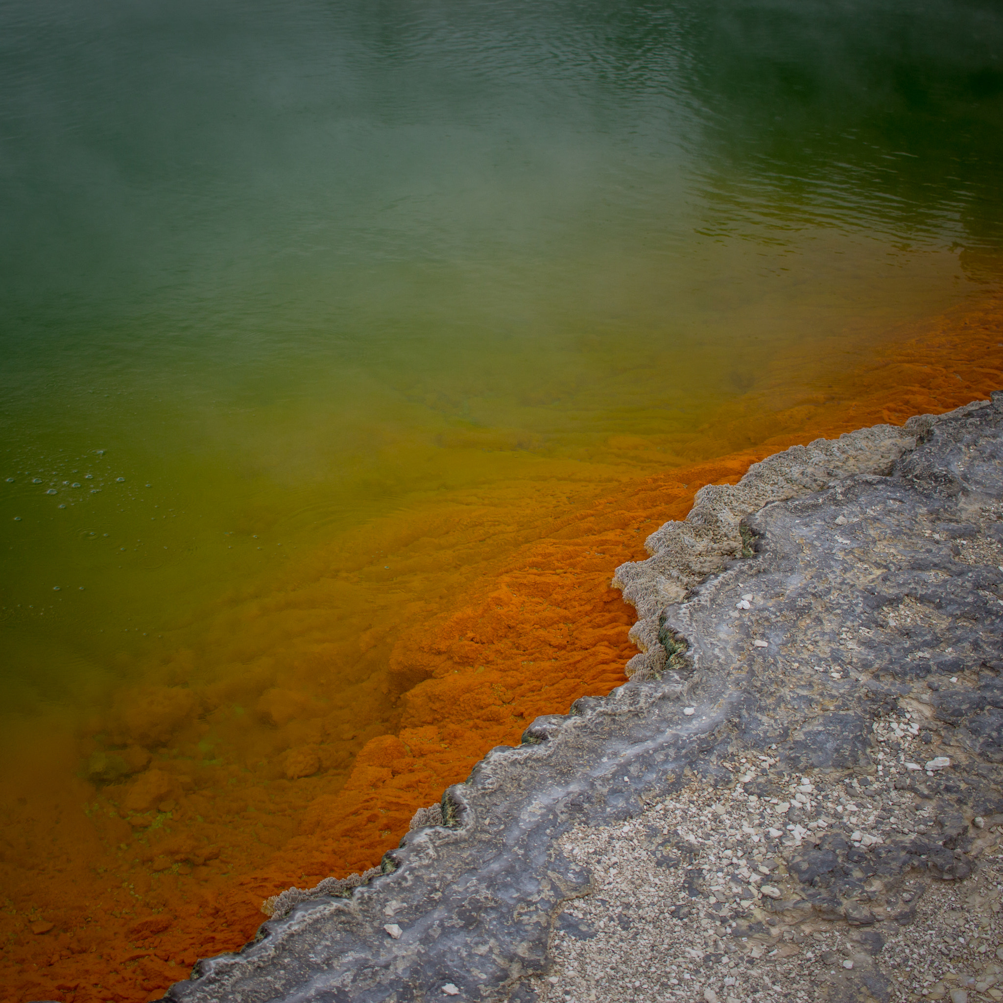 Canon EF-S 24mm F2.8 STM sample photo. Champagne pool photography