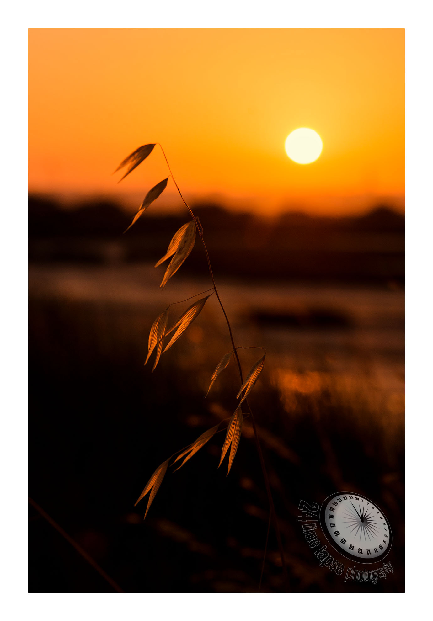 Nikon D7200 + Tamron AF 28-75mm F2.8 XR Di LD Aspherical (IF) sample photo. Sunset photography