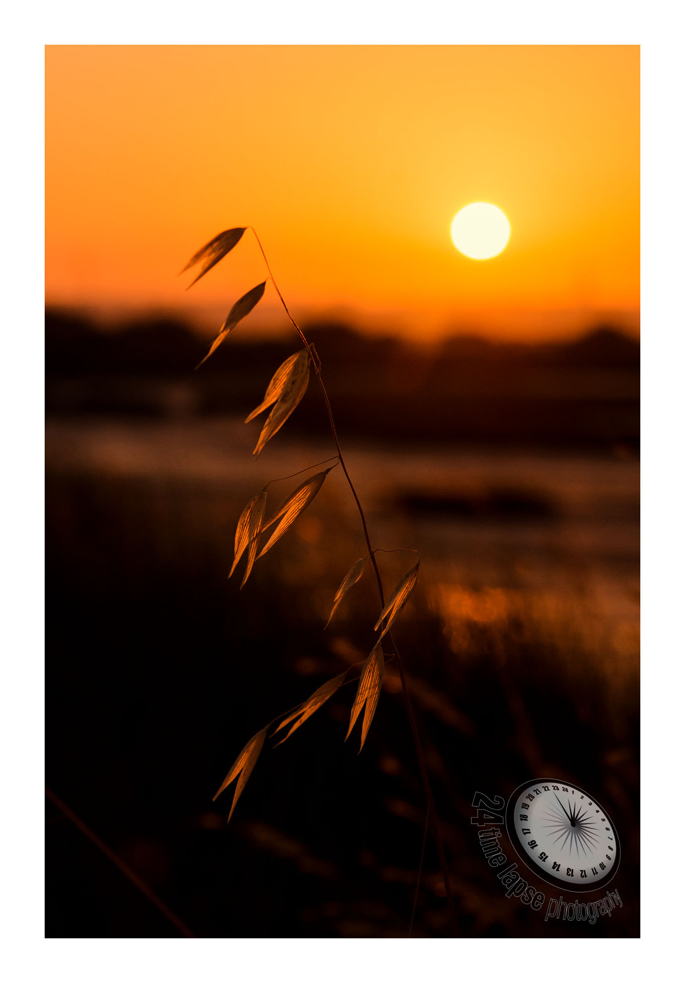 Nikon D7200 sample photo. Sunset photography
