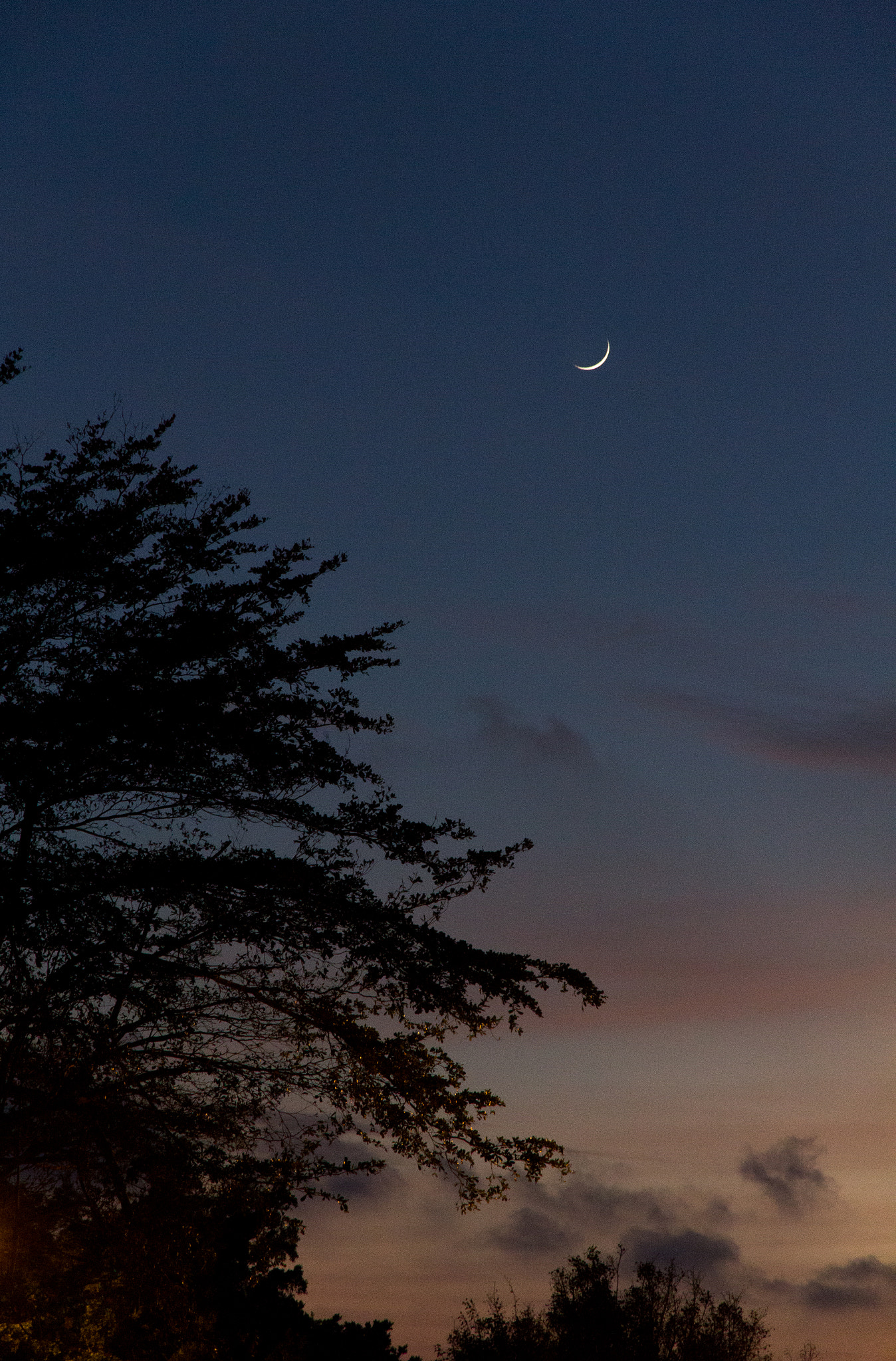 Canon EOS 60D sample photo. Moonlight 月夜 photography