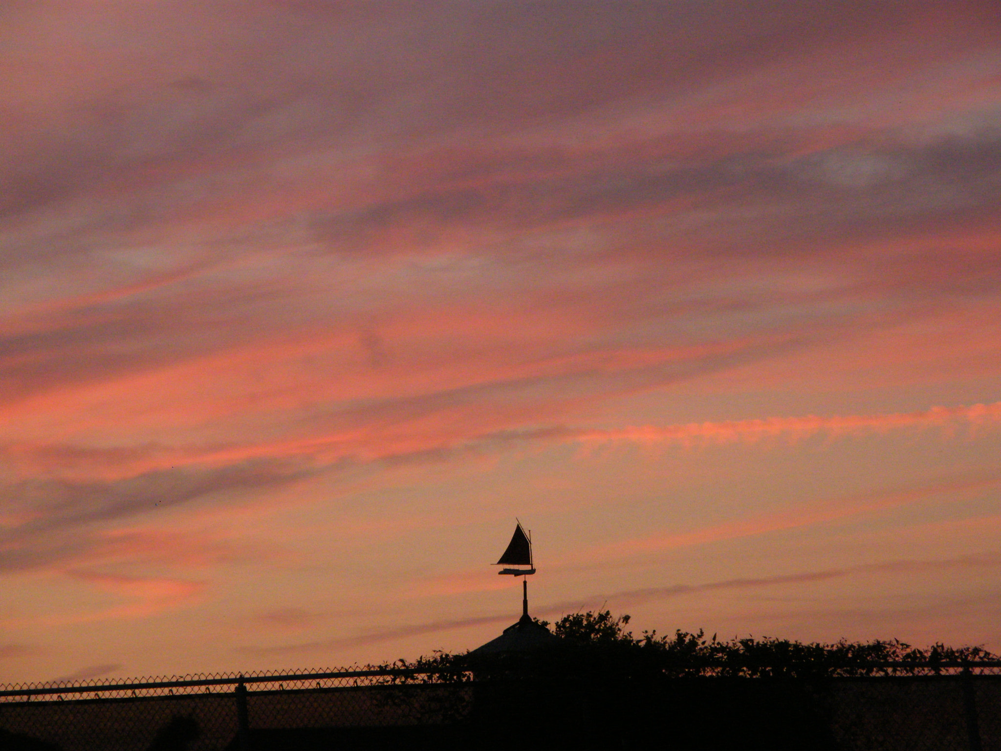 Fujifilm FinePix S8000fd sample photo. Usa photography