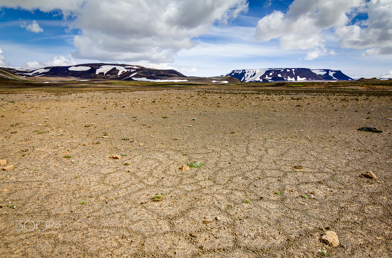 Canon EOS 550D (EOS Rebel T2i / EOS Kiss X4) sample photo. Patternd ground with polygons in beautiful primordial icelandic highland. iceland photography