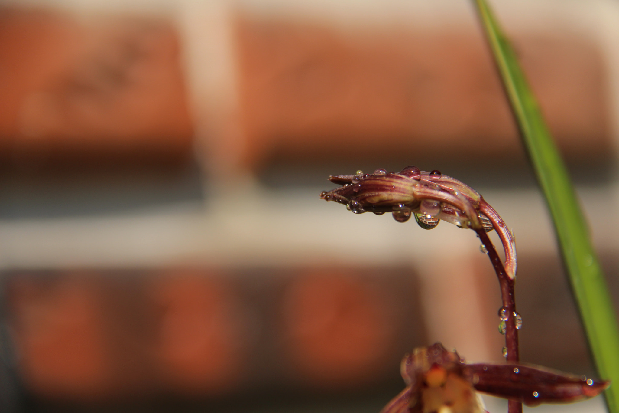 Canon EF-S 18-200mm F3.5-5.6 IS sample photo. 물주다``````찰칵^^ photography