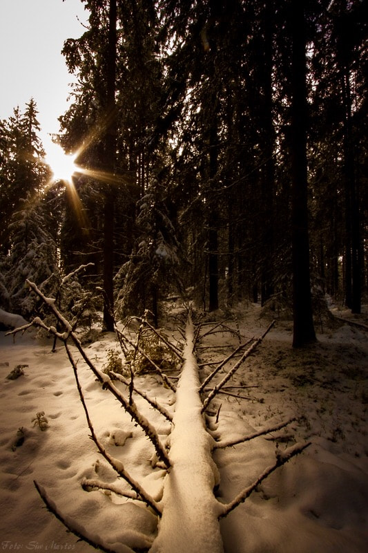 Canon EF-S 10-22mm F3.5-4.5 USM sample photo. Lighting up photography