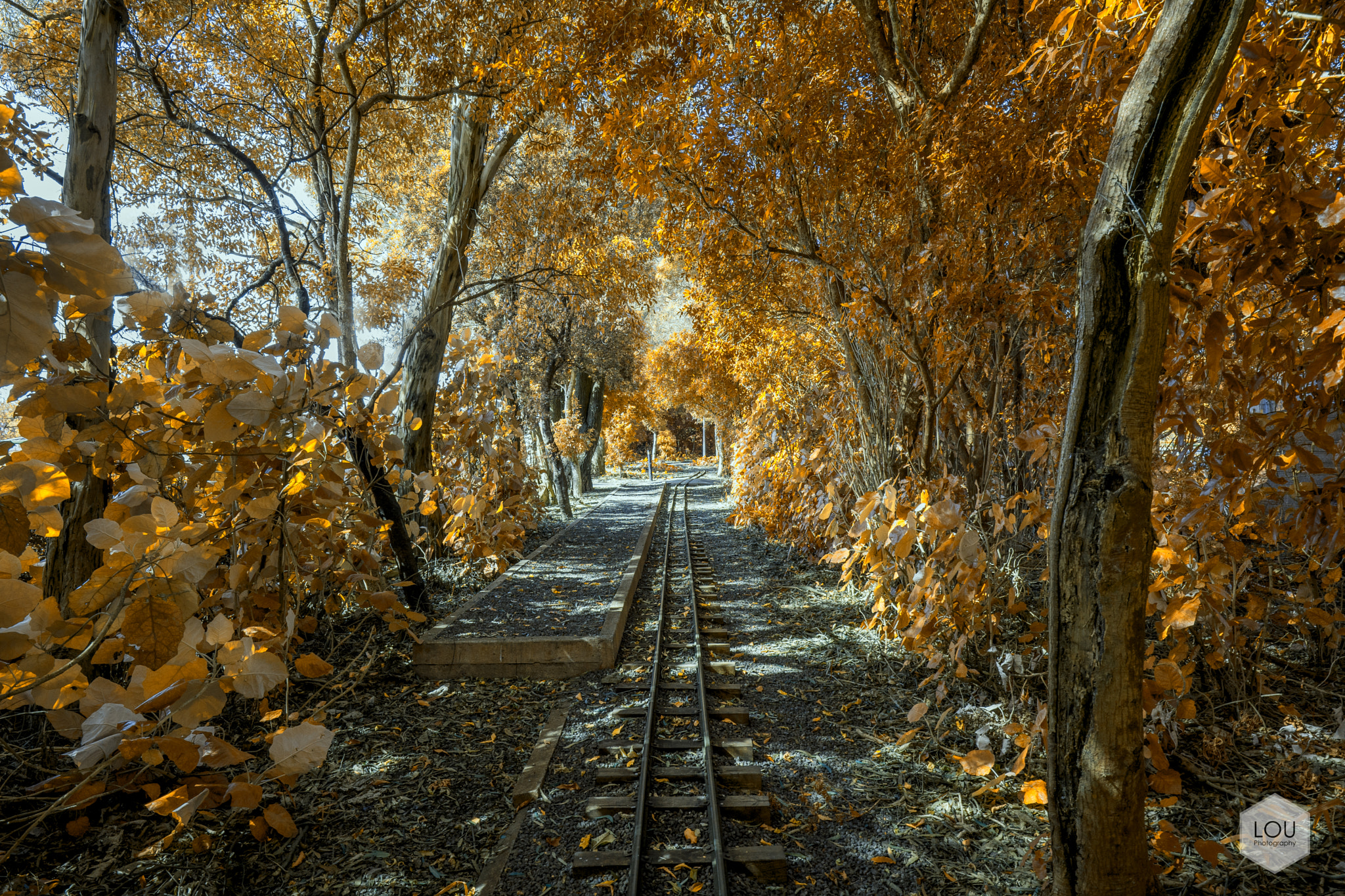 Sony a7 II sample photo. Autumn on the railway photography
