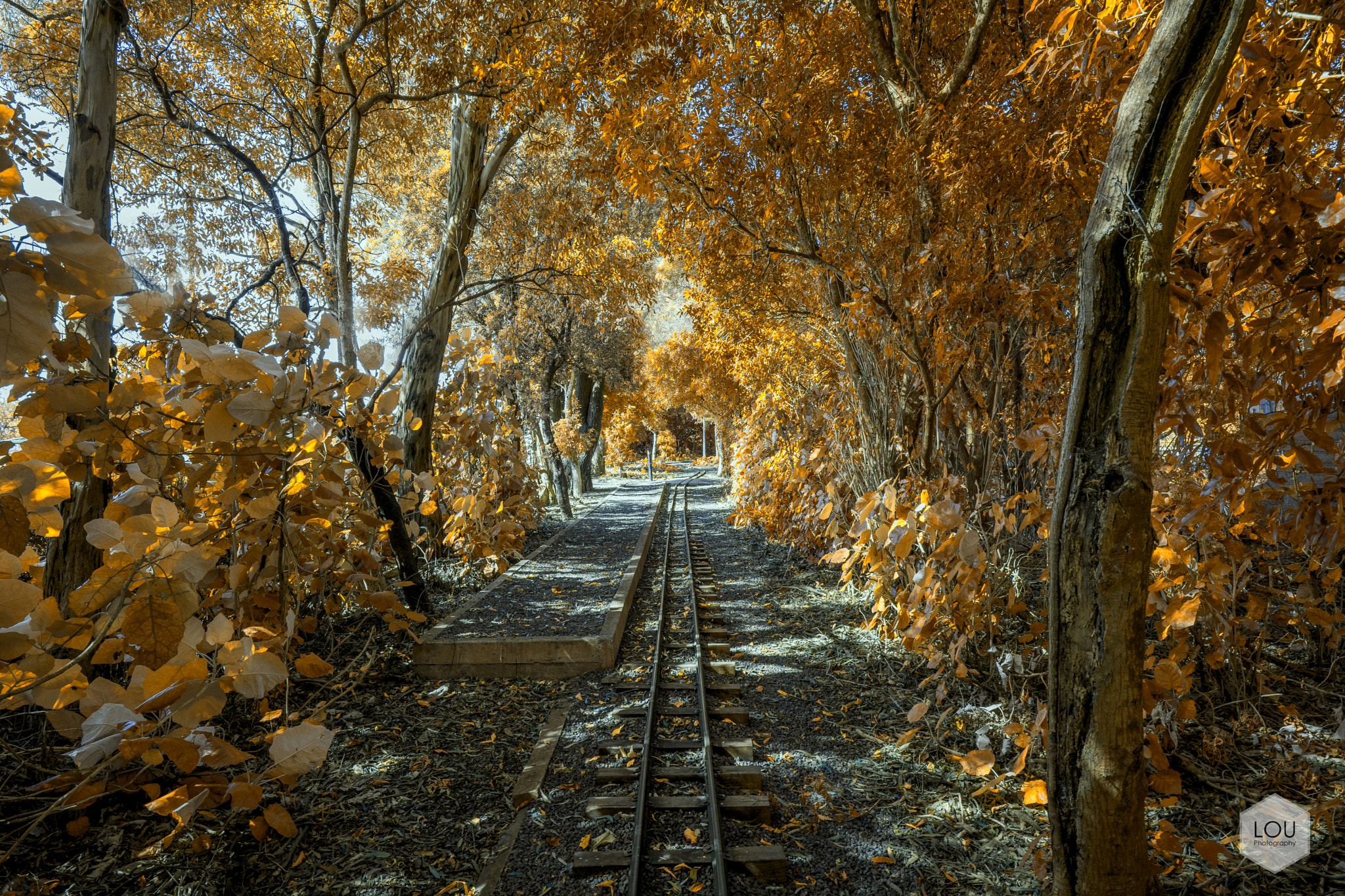 E 21mm F2.8 sample photo. Autumn on the railway photography