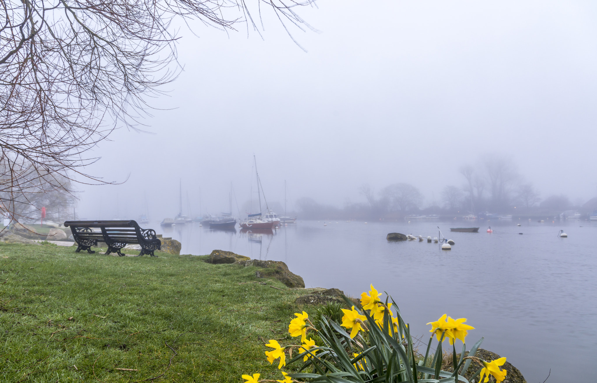 Canon EF 24-105mm F3.5-5.6 IS STM sample photo. Foggy stour photography