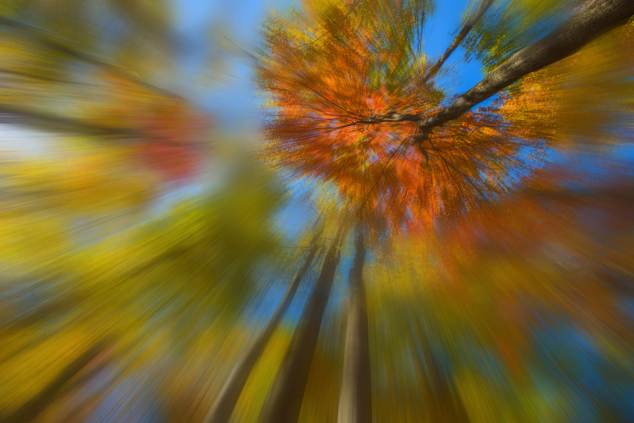 Nikon AF-S Nikkor 17-35mm F2.8D ED-IF sample photo. Abstract look up photography
