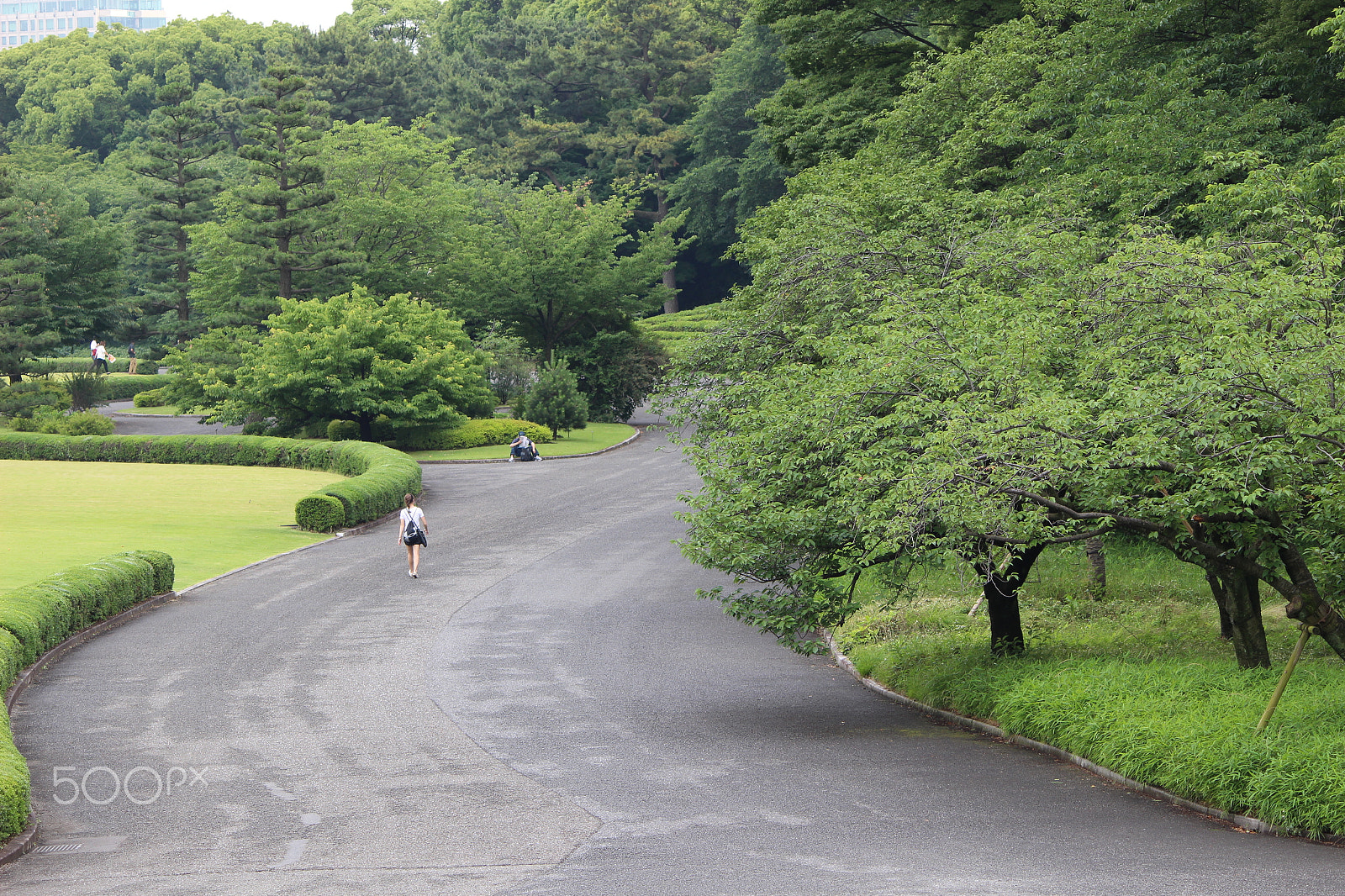 Canon EOS 100D (EOS Rebel SL1 / EOS Kiss X7) sample photo. Imperial place gardens photography