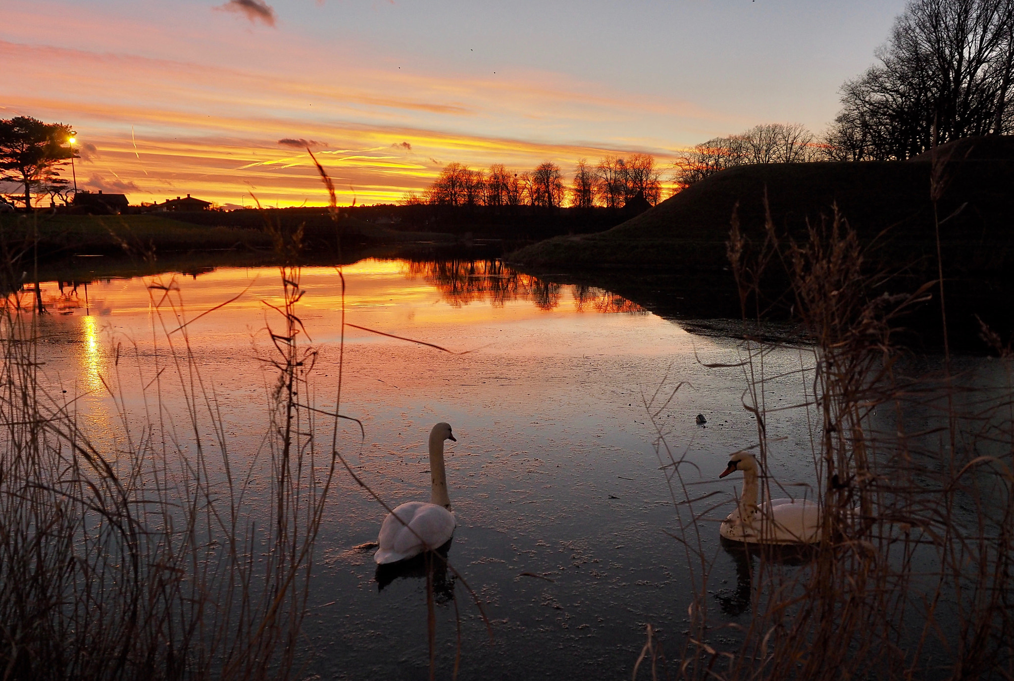 Olympus M.Zuiko Digital ED 12-40mm F2.8 Pro sample photo. Swaney river photography