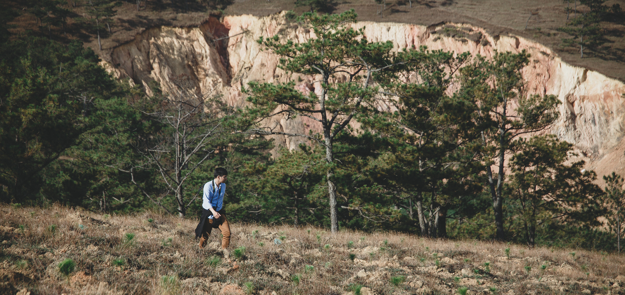 Sigma 24-105mm f/4 DG OS HSM | A sample photo. Dalat photography
