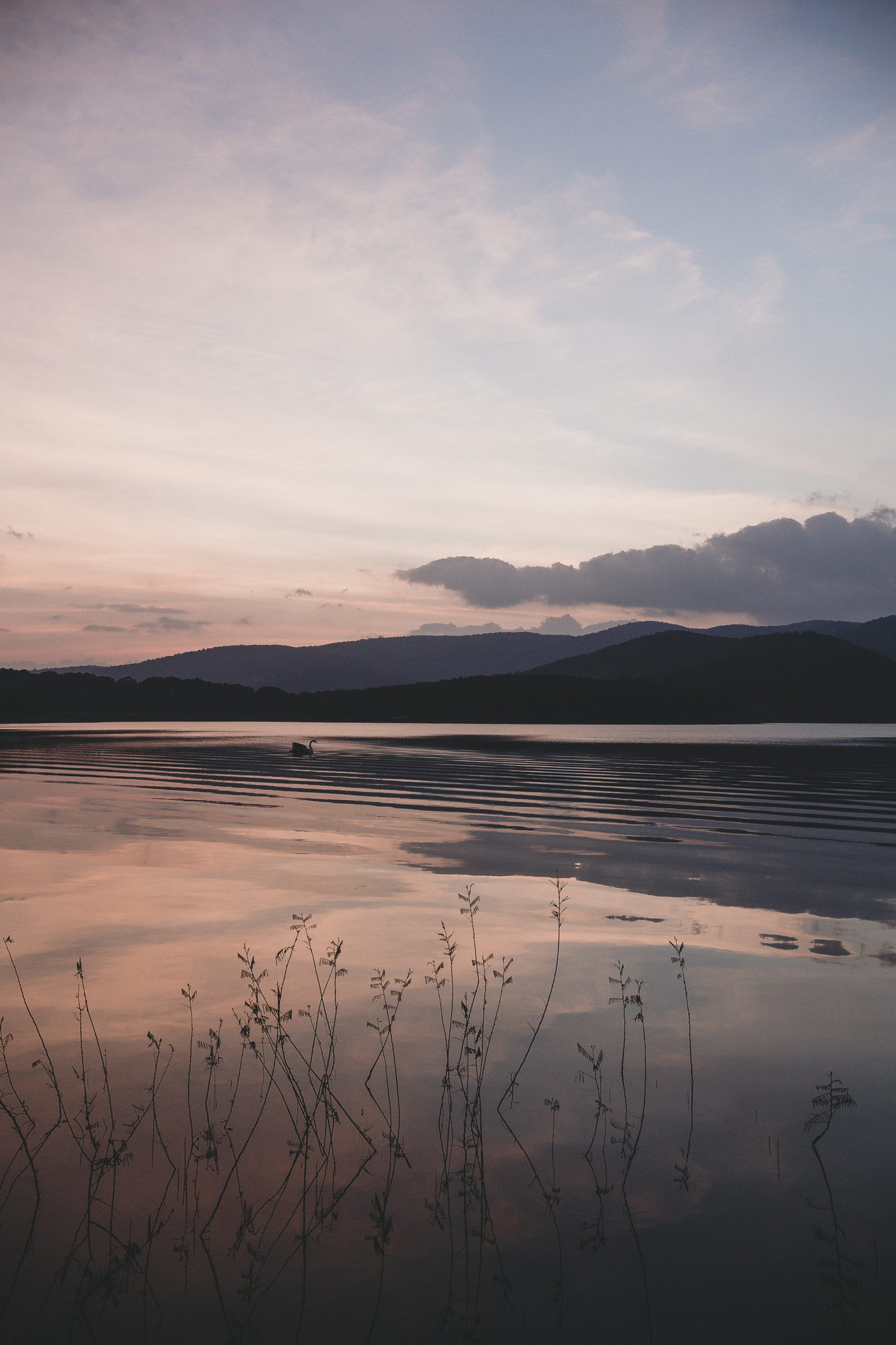 Sigma 18-35mm f/1.8 DC HSM sample photo. Dalat photography