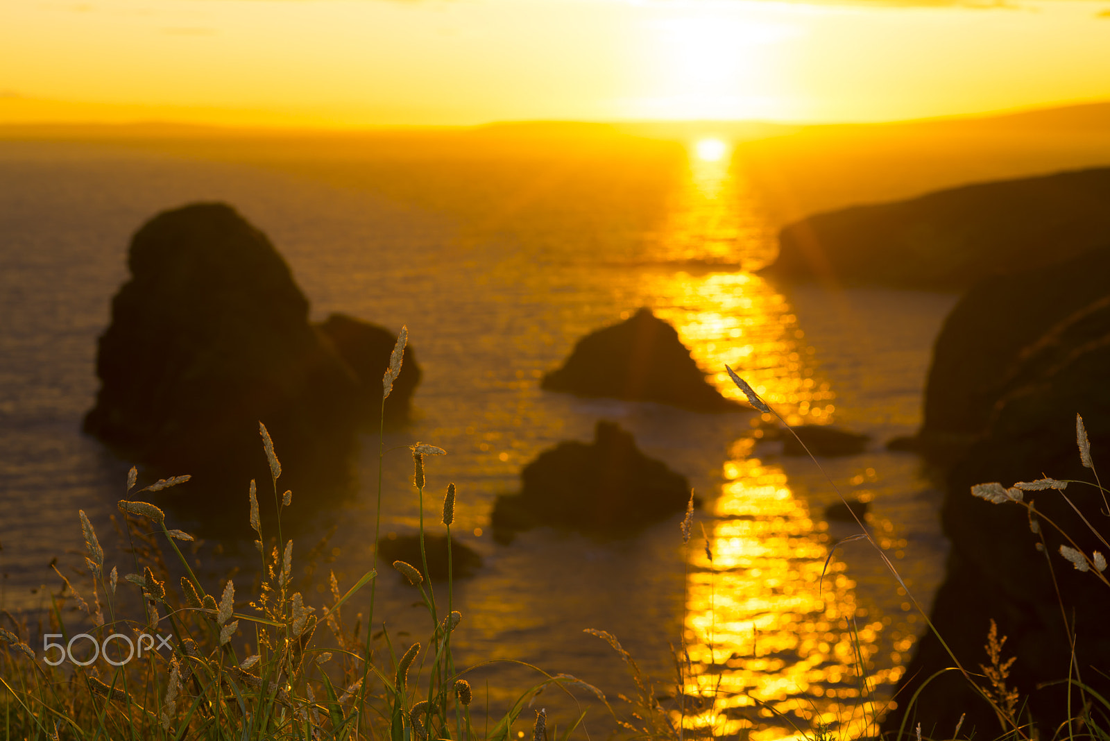 Sigma 70-300mm F4-5.6 APO DG Macro sample photo. Sunset over the virgin rock with wild tall grass photography