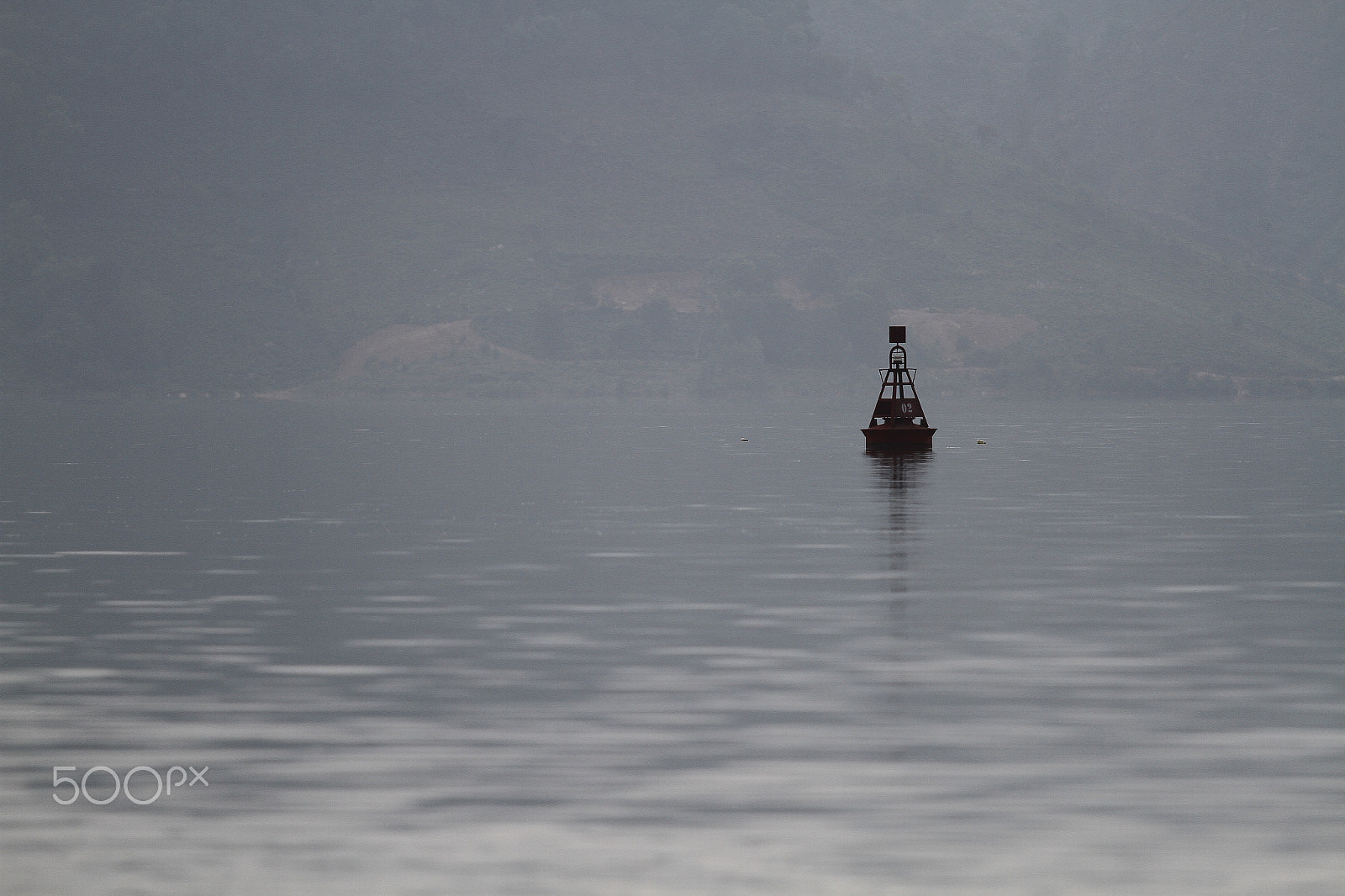 Canon EOS 7D + Canon EF 70-200mm F4L IS USM sample photo. I'm feeling lonely photography