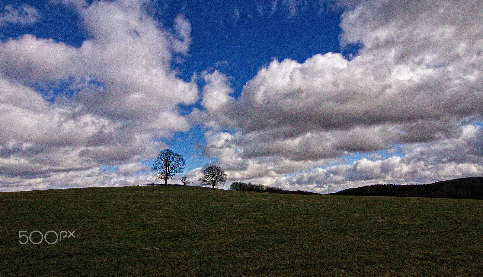 Tokina AT-X Pro 12-24mm F4 (IF) DX sample photo. On the hill photography