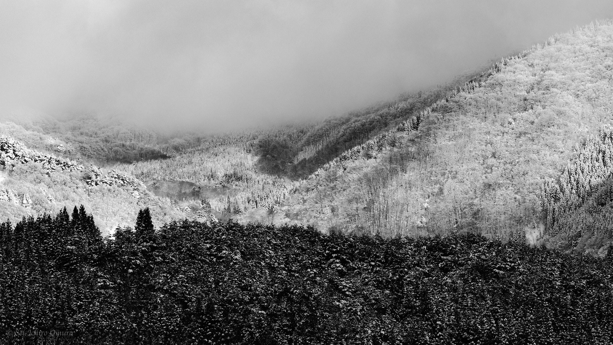 Panasonic Lumix DMC-GH4 + Olympus M.Zuiko Digital ED 40-150mm F2.8 Pro sample photo. Forest and mountains and the cloud photography