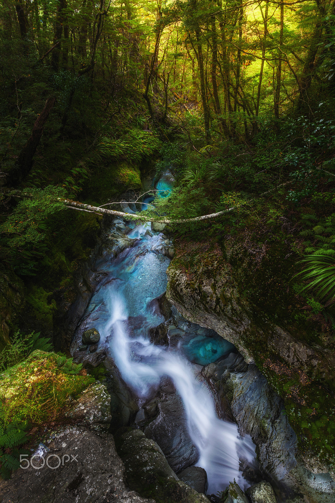 Canon EF 16-35mm F2.8L II USM sample photo. Whisper in the forest photography