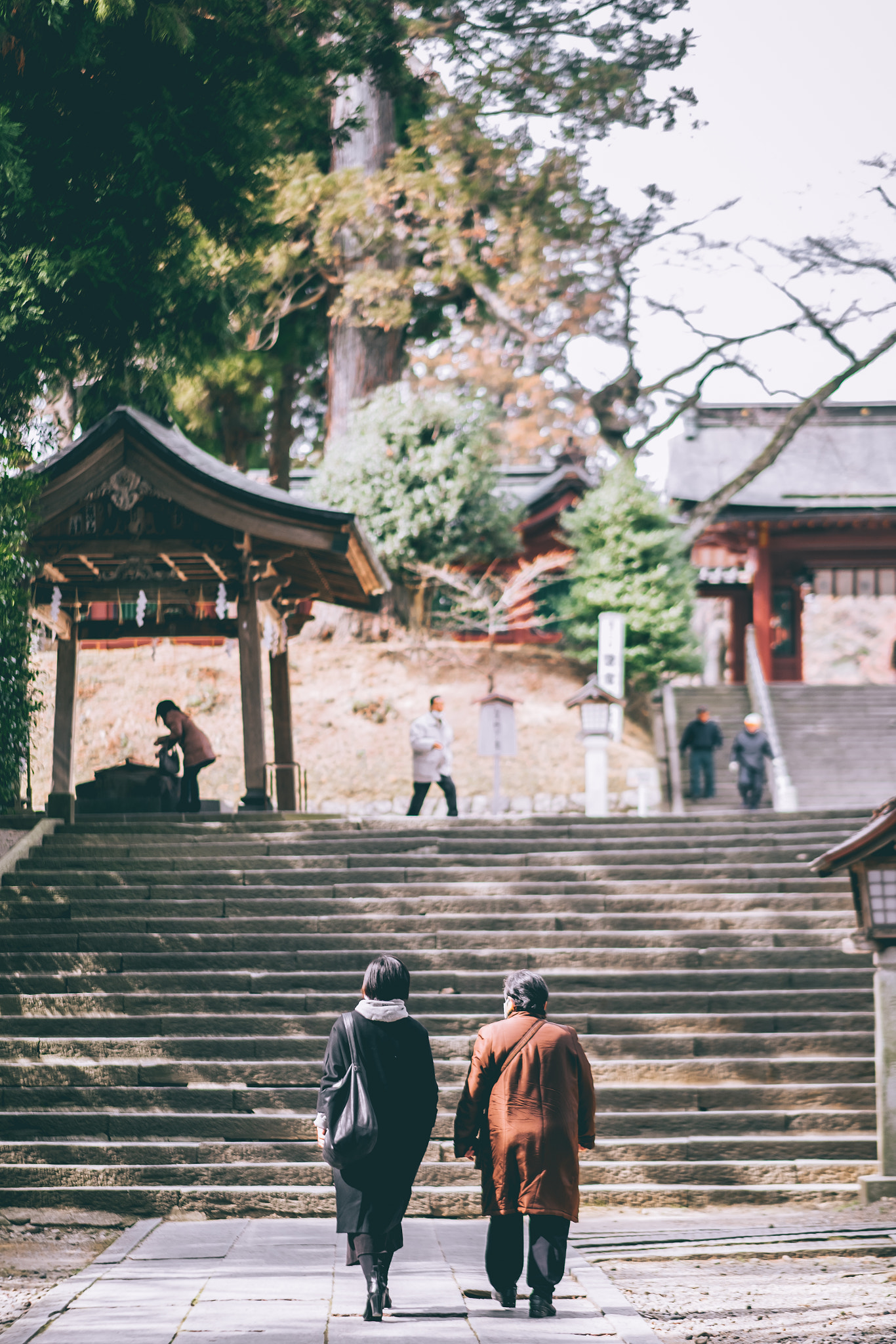 Fujifilm XF 56mm F1.2 R APD sample photo. Everyday life in miyagi. photography