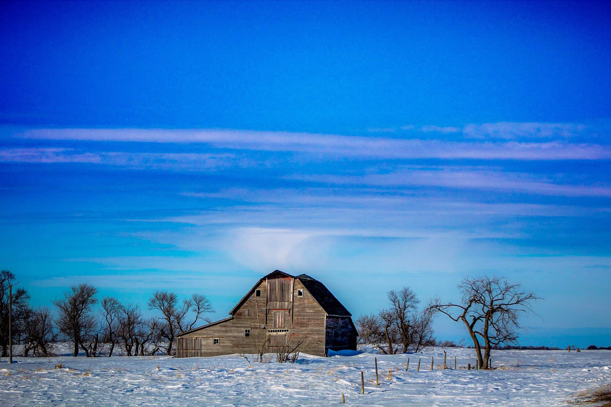 Canon EOS 600D (Rebel EOS T3i / EOS Kiss X5) + EF75-300mm f/4-5.6 sample photo. Rural love photography
