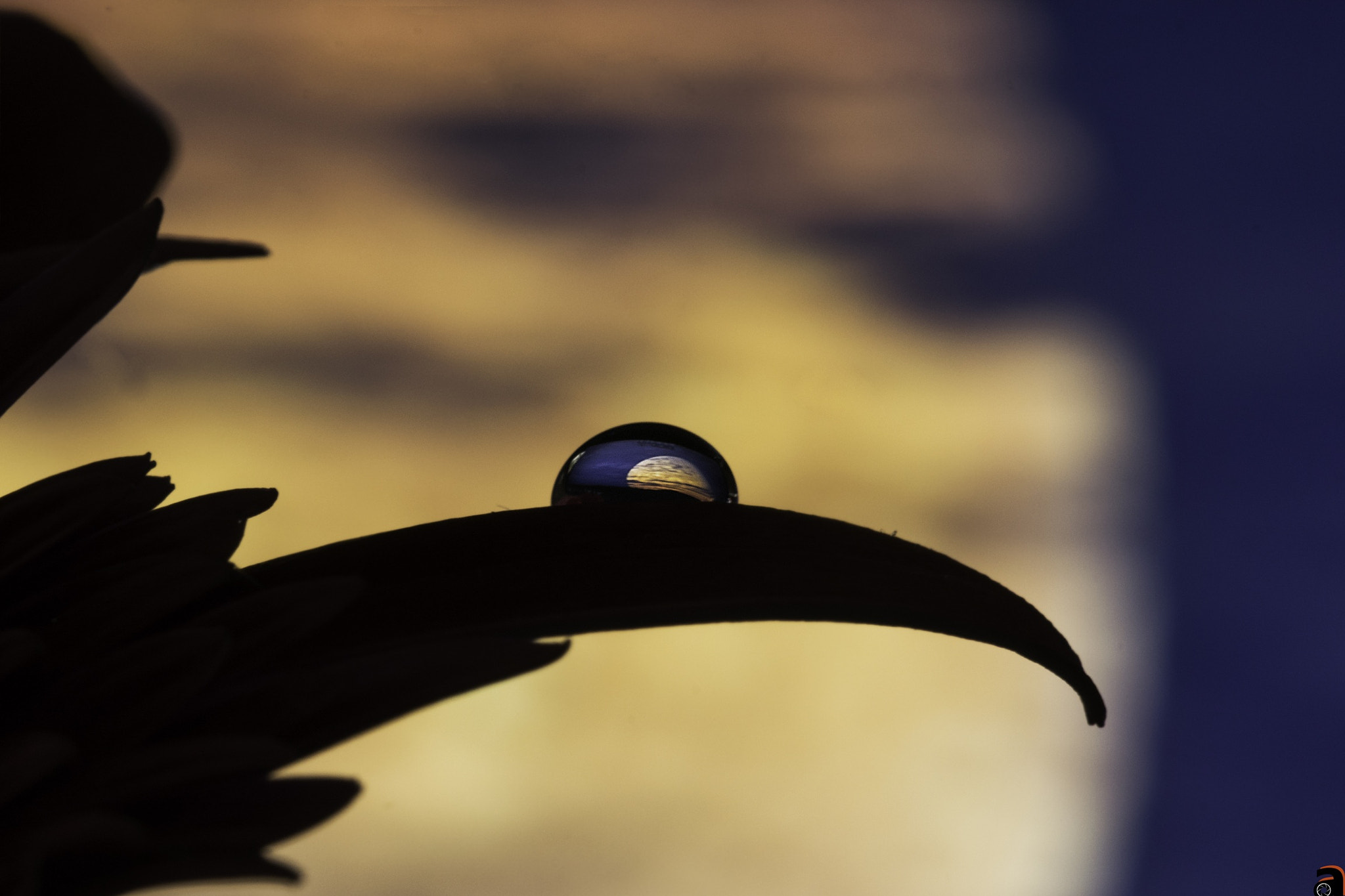 Nikon D3300 + Sigma 105mm F2.8 EX DG OS HSM sample photo. Moon inside a drop of water photography