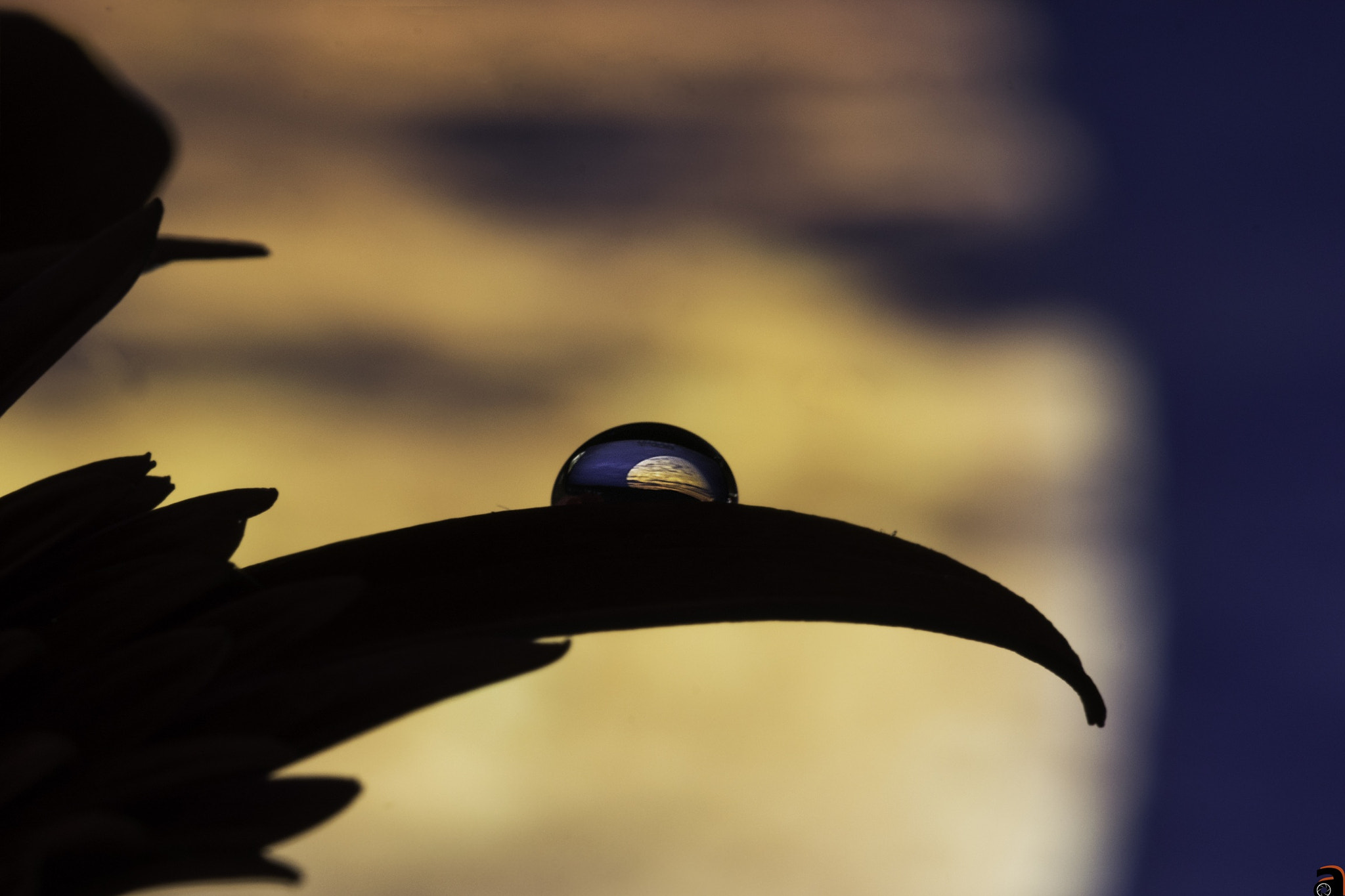 Sigma 105mm F2.8 EX DG OS HSM sample photo. Moon inside a drop of water photography