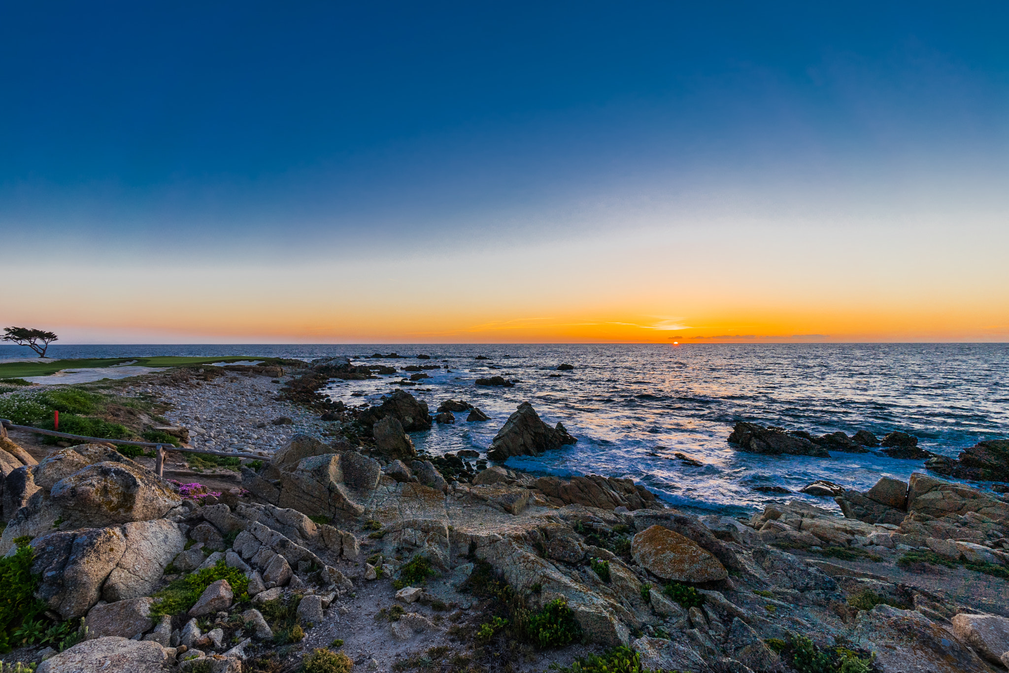 Sony a7 II + Sony E 10-18mm F4 OSS sample photo. 17-mile drive photography