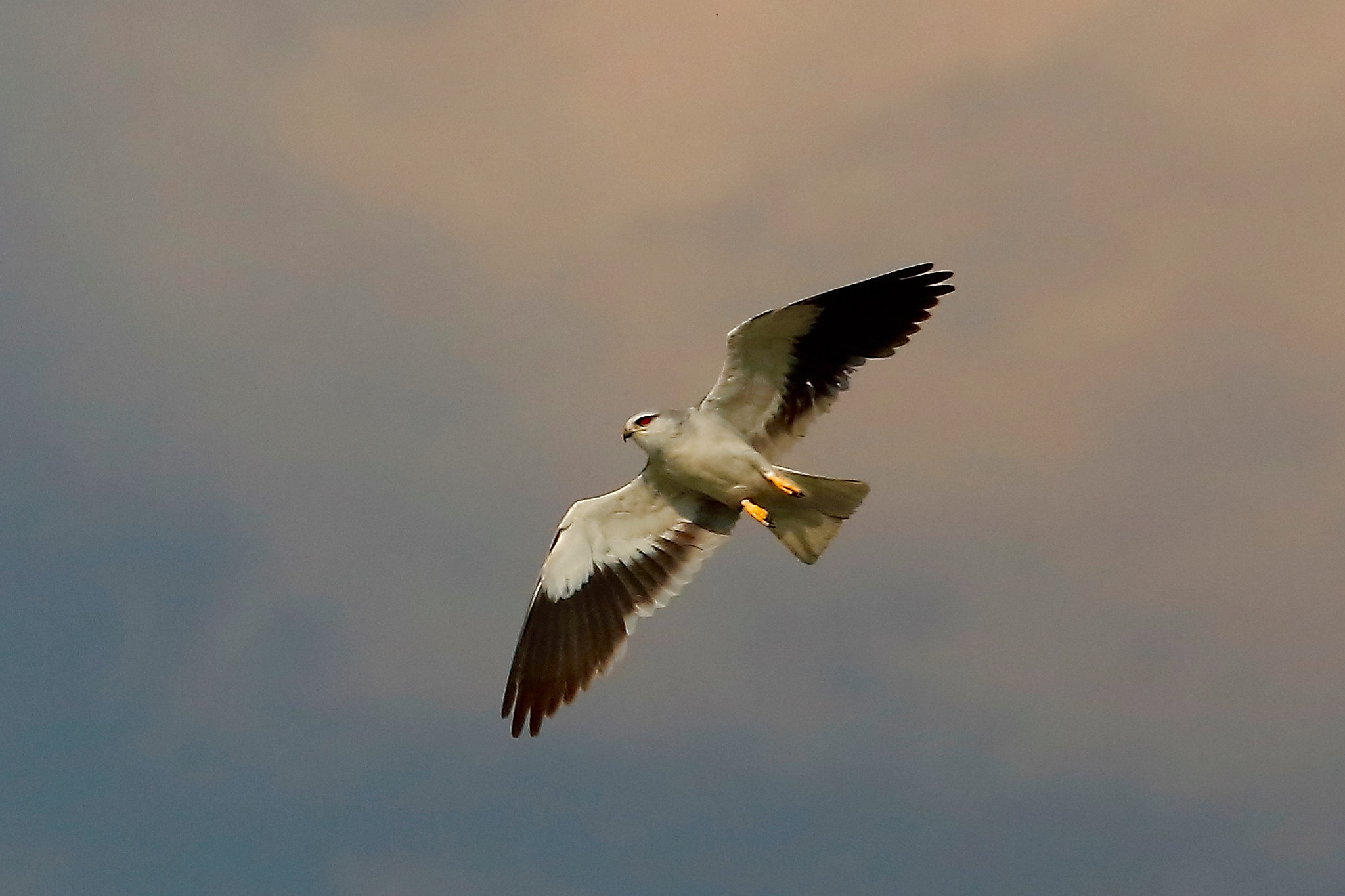 Canon EOS 5DS sample photo