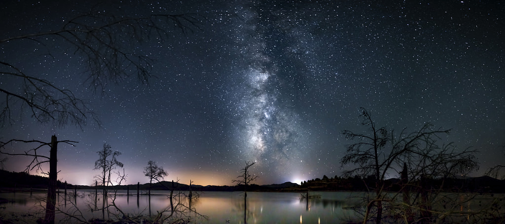 Milky Way Trees by panagiotis laoudikos on 500px.com