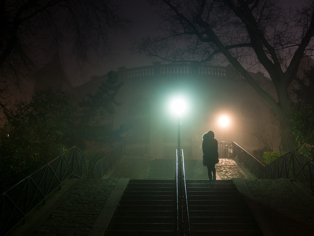 Panasonic Lumix DMC-GX7 sample photo. Up montmartre. photography