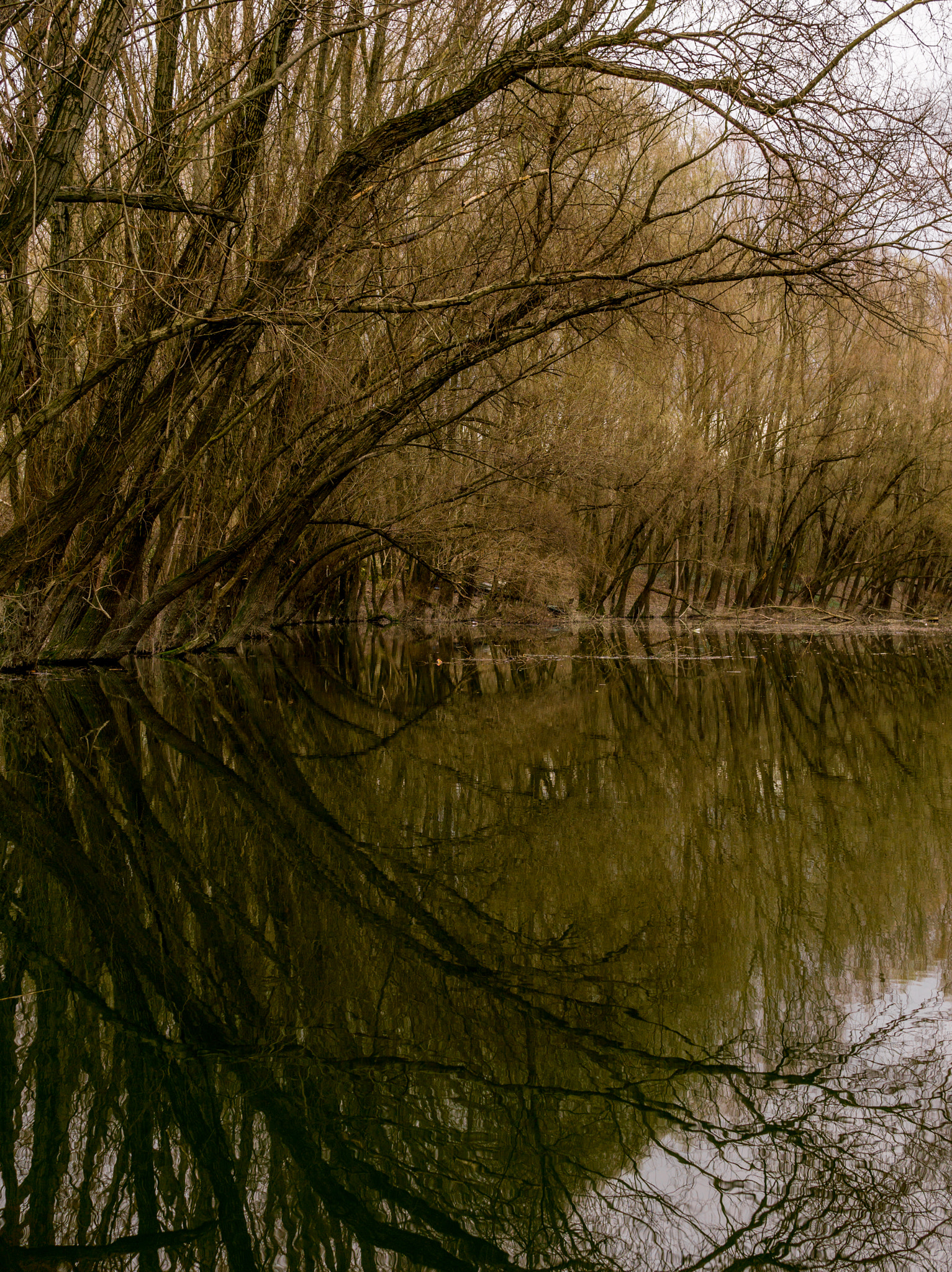 Sony a6000 sample photo. Danube riverside mirror. photography