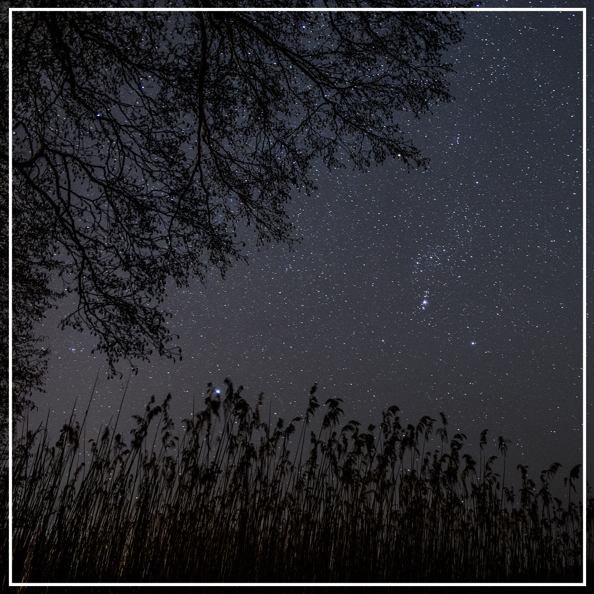 Nikon D610 + Sigma 24-70mm F2.8 EX DG HSM sample photo. Night sky photography