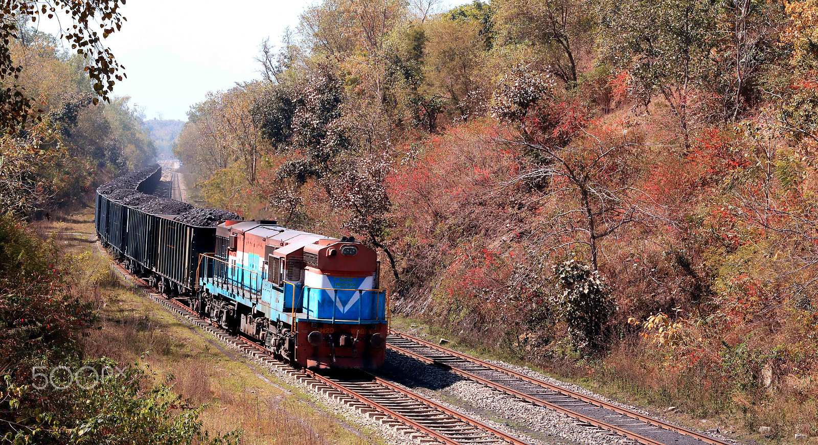 Canon EOS 750D (EOS Rebel T6i / EOS Kiss X8i) + Canon EF 50mm F1.4 USM sample photo. The indian rail mp photography