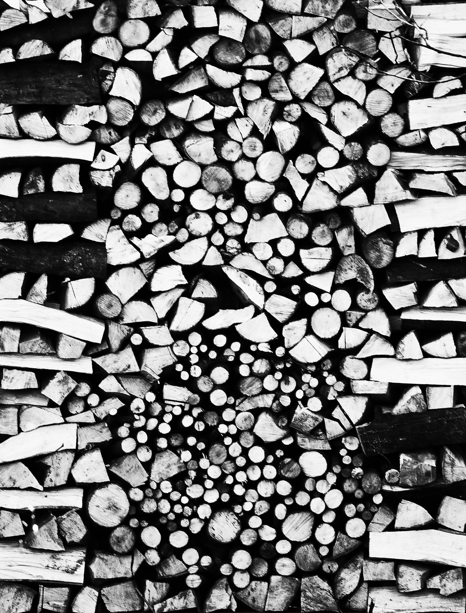 Canon EF 100mm F2.8 Macro USM sample photo. Stack of firewood photography