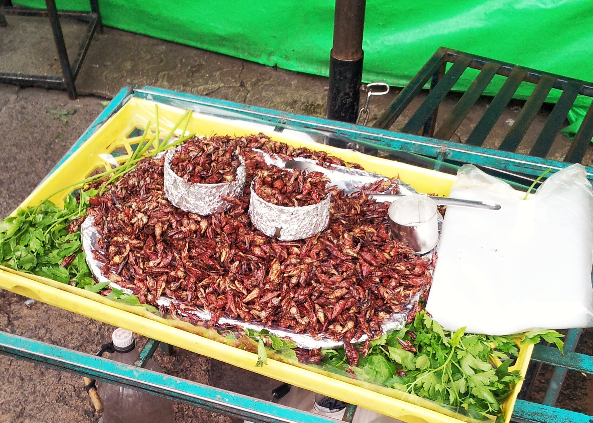 Samsung Galaxy Note sample photo. Chapulines photography