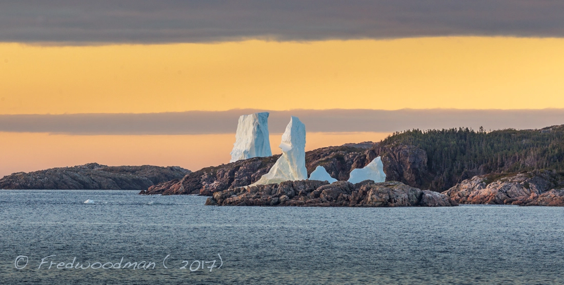 Canon EF 300mm F2.8L IS II USM sample photo. Newfoundland photography