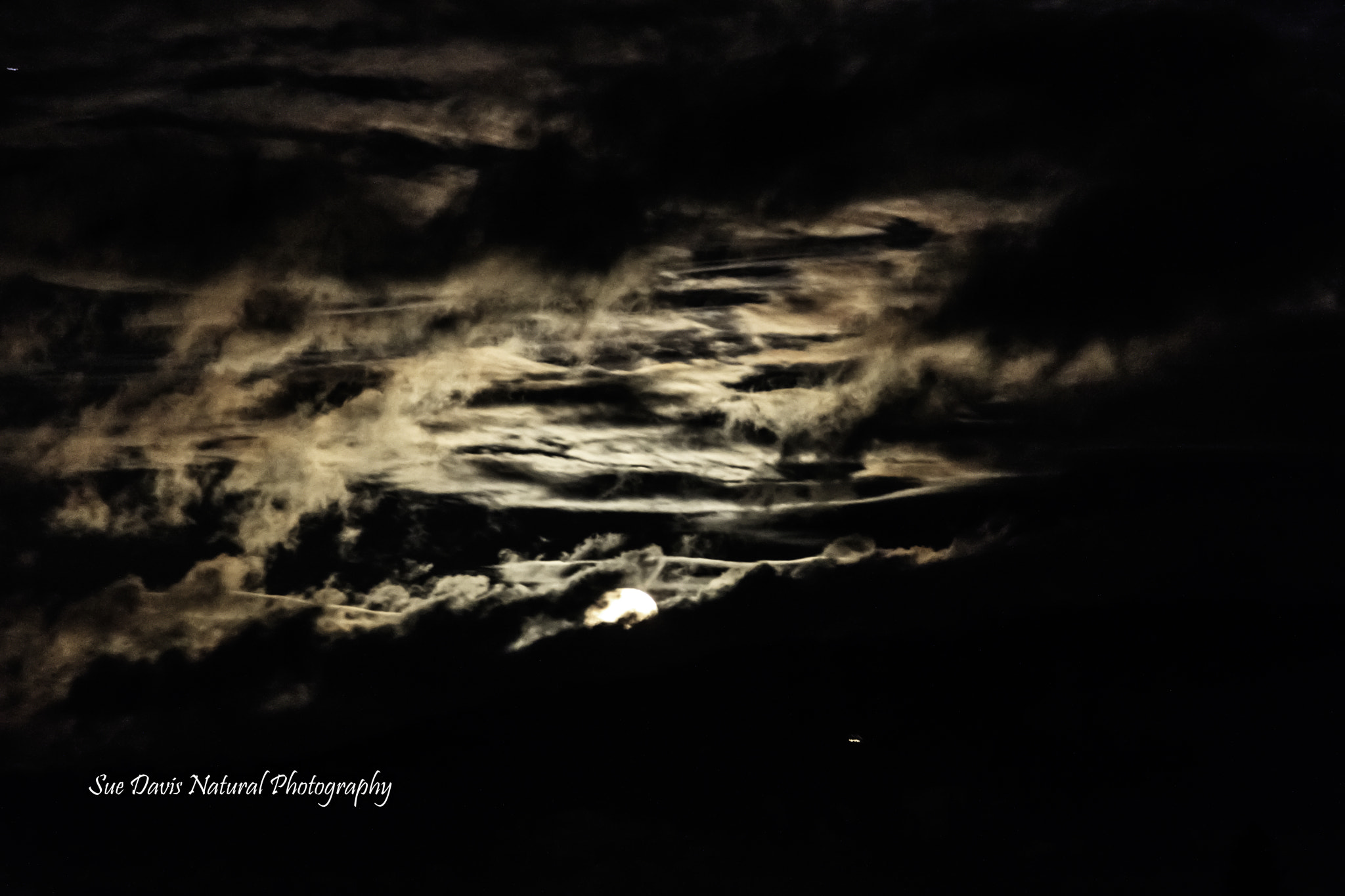 Canon EOS 760D (EOS Rebel T6s / EOS 8000D) sample photo. The morning moon photography