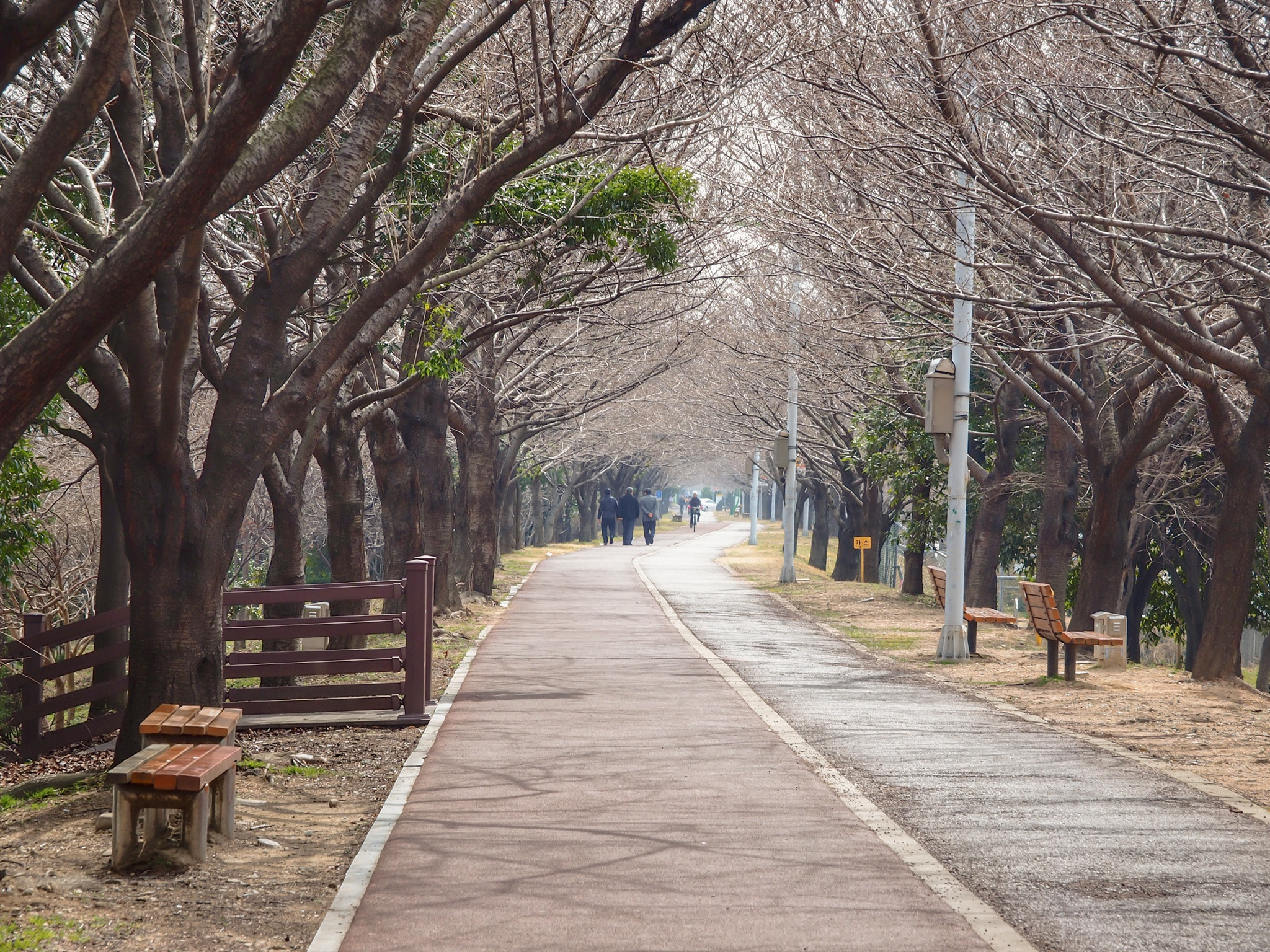 OLYMPUS M.14-150mm F4.0-5.6 II sample photo. Way photography