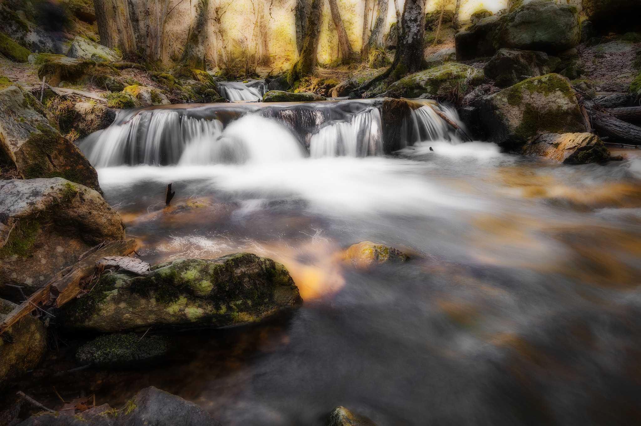 Sigma 17-50mm F2.8 EX DC OS HSM sample photo. 223421889990canencia photography