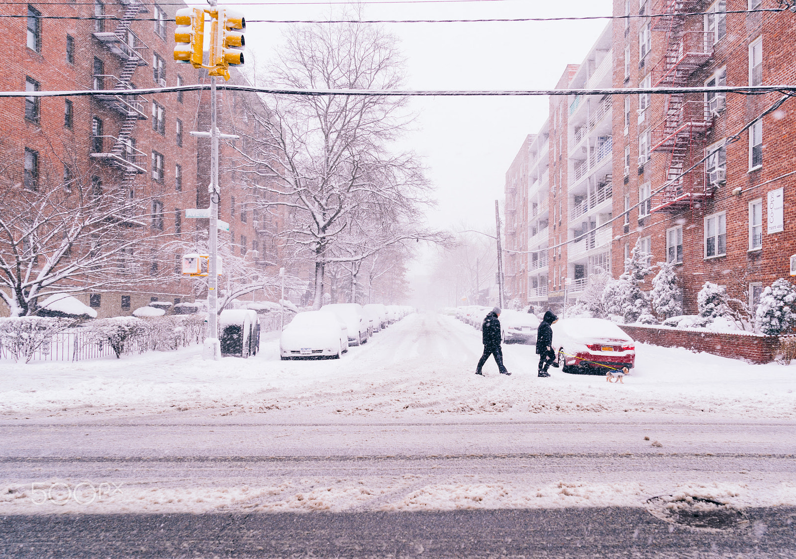 Sony a7R + Sony Vario Tessar T* FE 24-70mm F4 ZA OSS sample photo. Winter take 2, roll the film photography