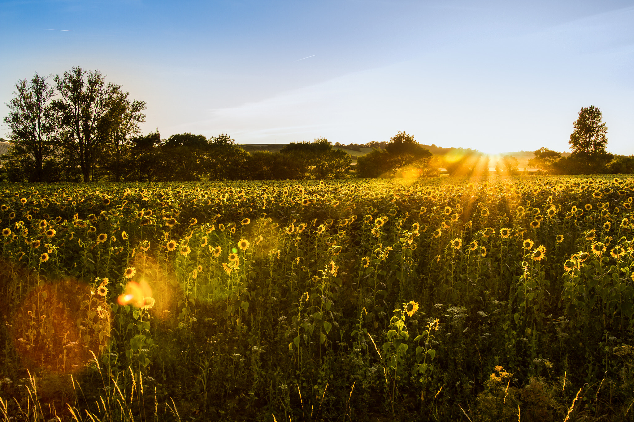 Sigma 18-35mm f/1.8 DC HSM sample photo. Danse du soleil photography