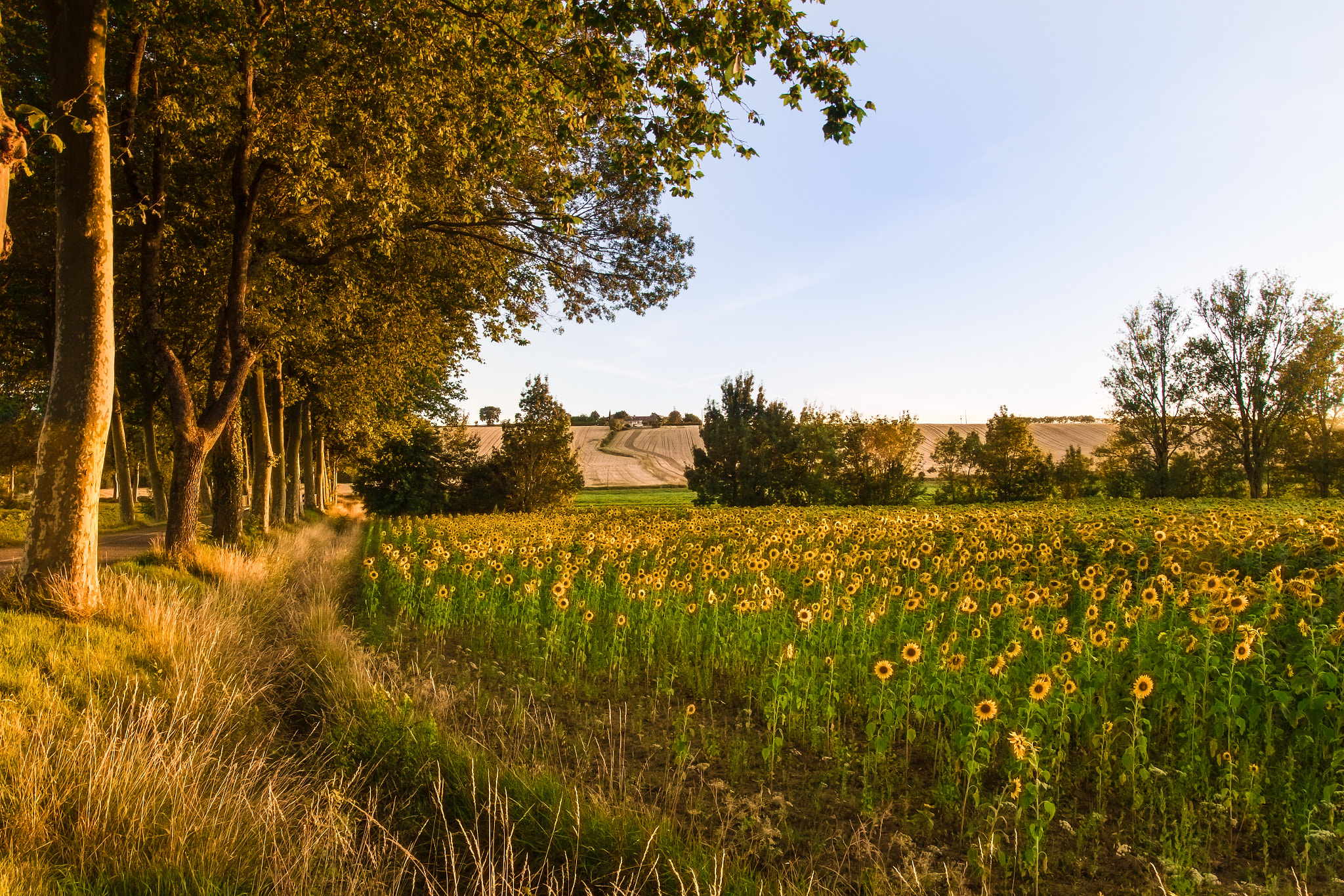 Canon EOS 7D + Sigma 18-35mm f/1.8 DC HSM sample photo. Danse du soleil photography