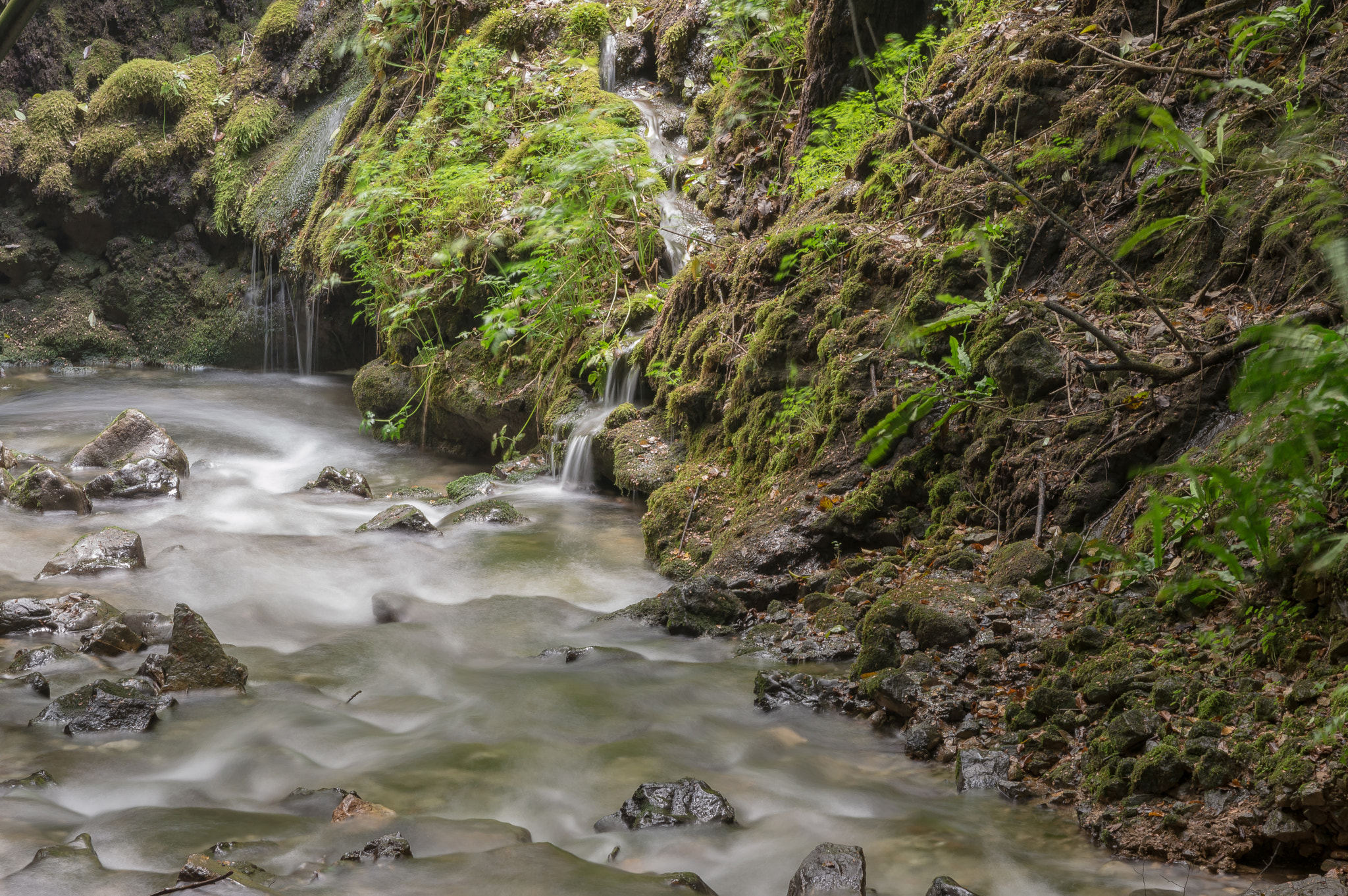 Sigma 17-70mm F2.8-4 DC Macro OS HSM | C sample photo. Varone fall photography