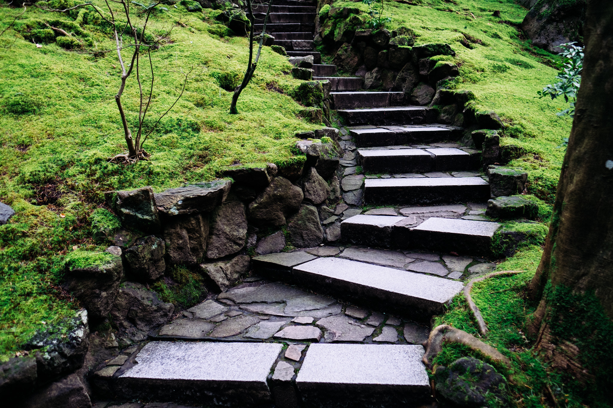 Fujifilm XF 16mm F1.4 R WR sample photo. Stairs to everywhere photography