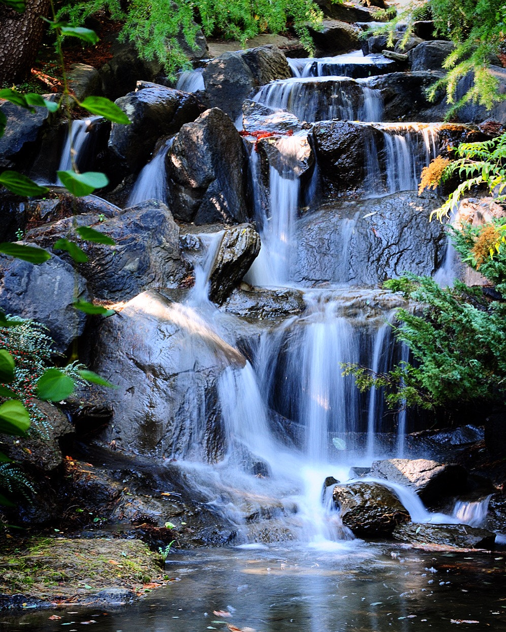 Nikon AF-S Nikkor 24-70mm F2.8G ED sample photo. Calm down and relax! photography
