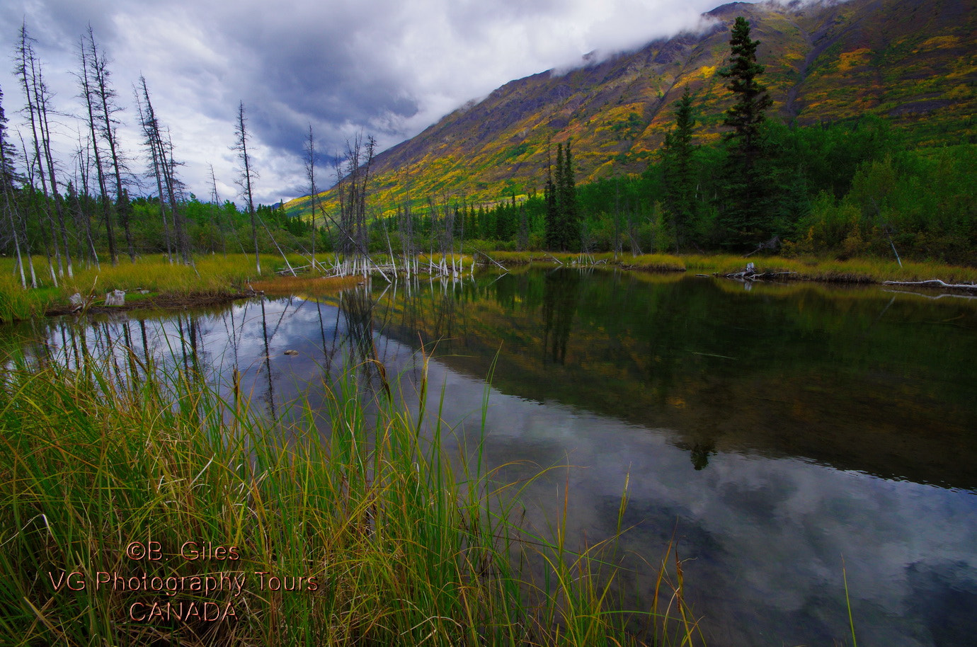 Pentax K-5 IIs + Sigma AF 10-20mm F4-5.6 EX DC sample photo. Yukon gold photography