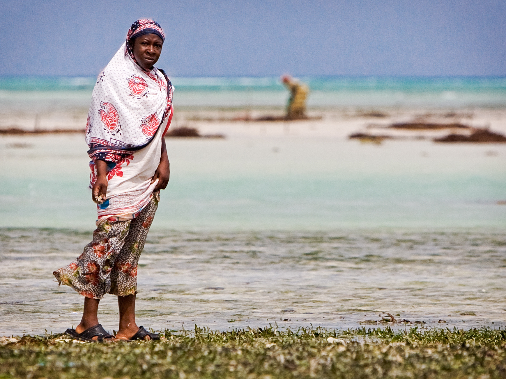 Canon EF 70-200mm F2.8L IS USM sample photo. Low tide photography