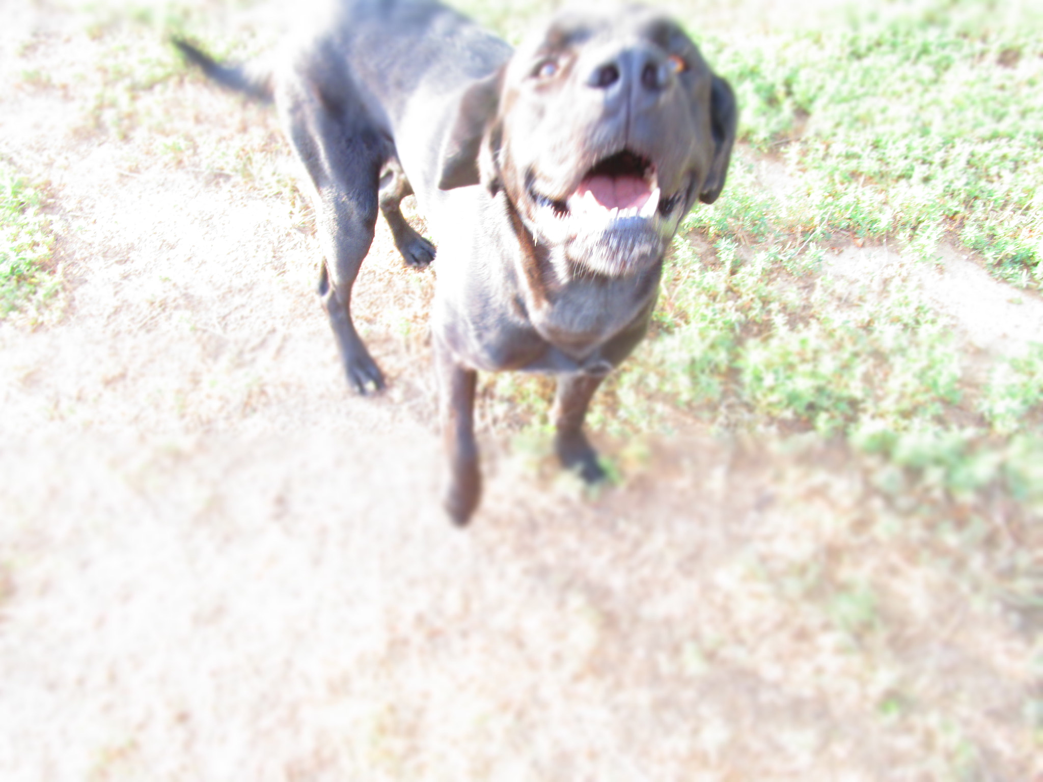 Canon PowerShot ELPH 150 IS (IXUS 155 / IXY 140) sample photo. Smile photography