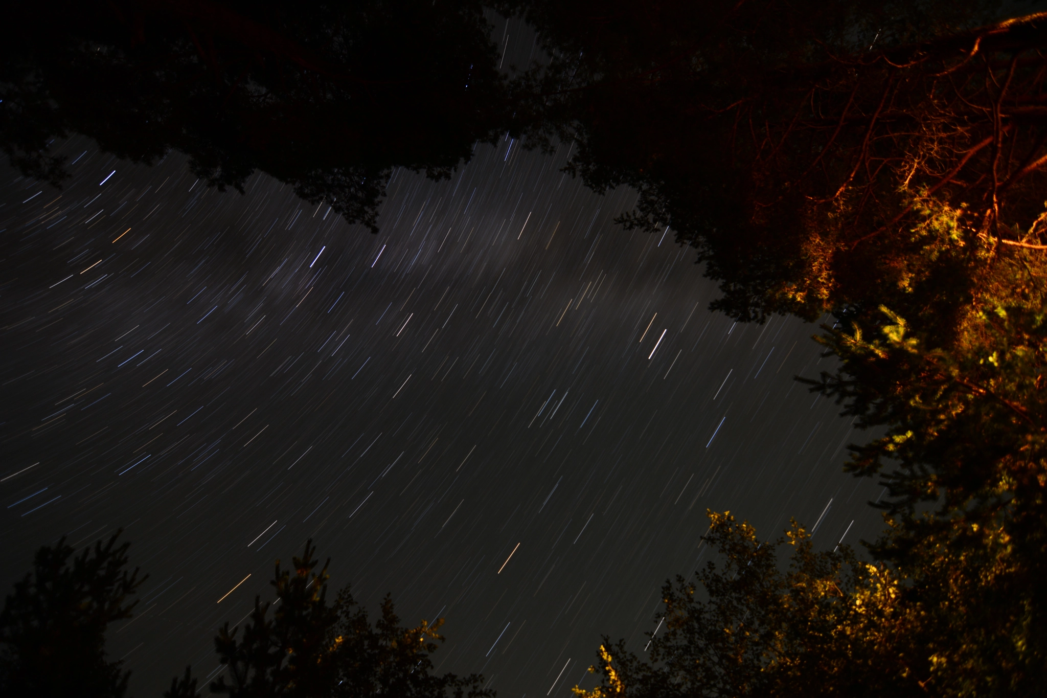 Nikon D5200 + Tokina AT-X Pro 11-16mm F2.8 DX II sample photo. Night sky photography