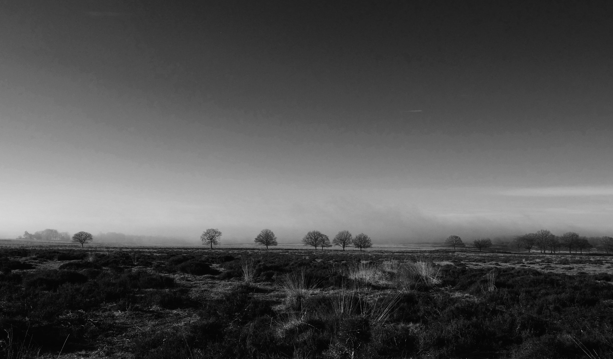 Panasonic Lumix DMC-GX8 + Olympus M.Zuiko Digital ED 7-14mm F2.8 PRO sample photo. On a foggy morning photography