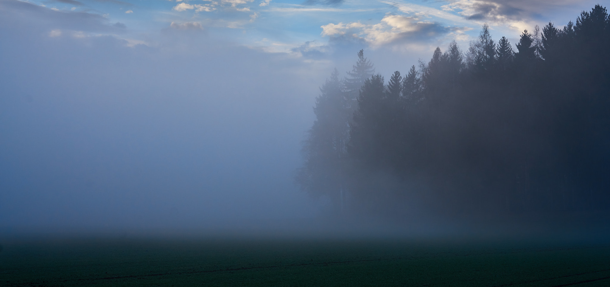 Sony a7R II sample photo. Mist and trees photography